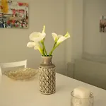 Appartement Santacara